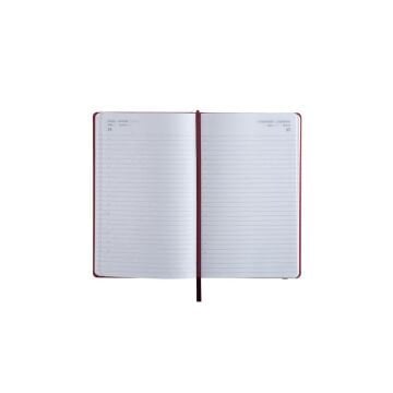 Fabio Ricci 13x21cm Lepidus Günlük Ajanda 1030 - 2026