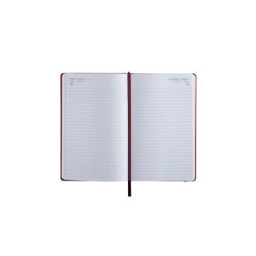 Fabio Ricci 13x21cm Lepidus Günlük Ajanda 1030 - 2026