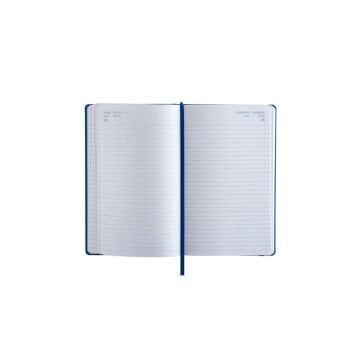 Fabio Ricci 13x21cm Lepidus Günlük Ajanda 1030 - 2026 Saks Mavisi